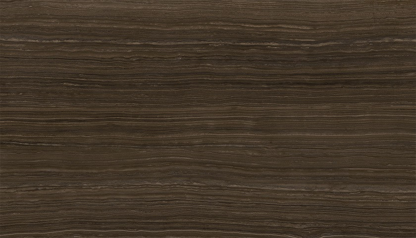 XTONE Mocca Dark